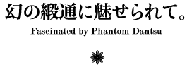 幻の緞通に魅せられて。　Fascinated by Phantom Dantsu
