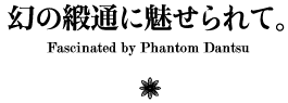 幻の緞通に魅せられて。 Fascinated by Phantom Dantsu